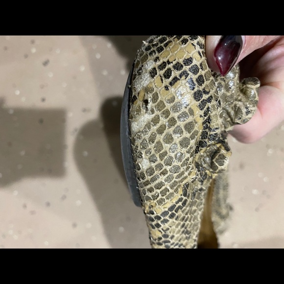 Tory Burch Snakeskin Flat - Picture 7 of 7